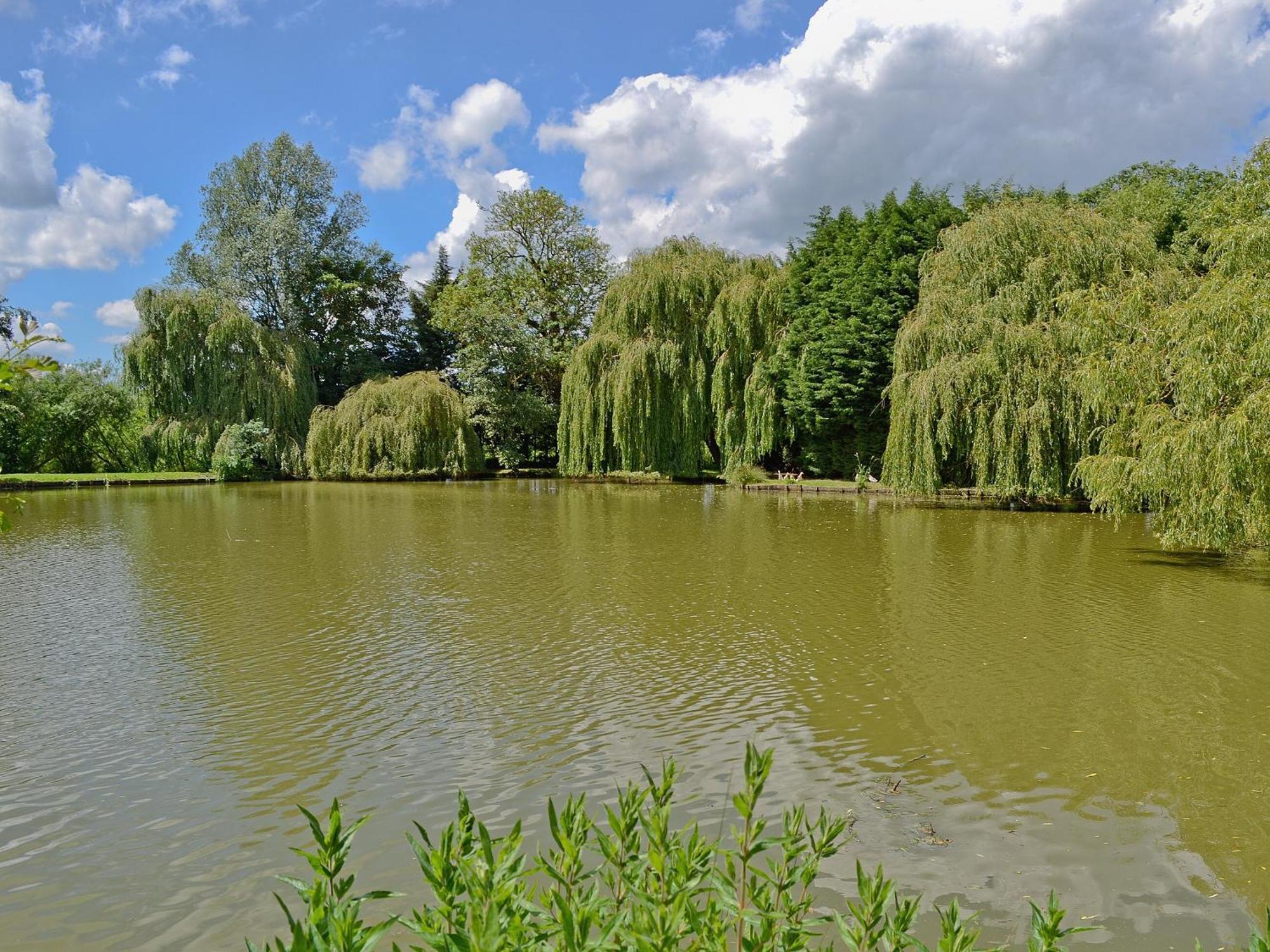Lake House Cottage Finchingfield Esterno foto